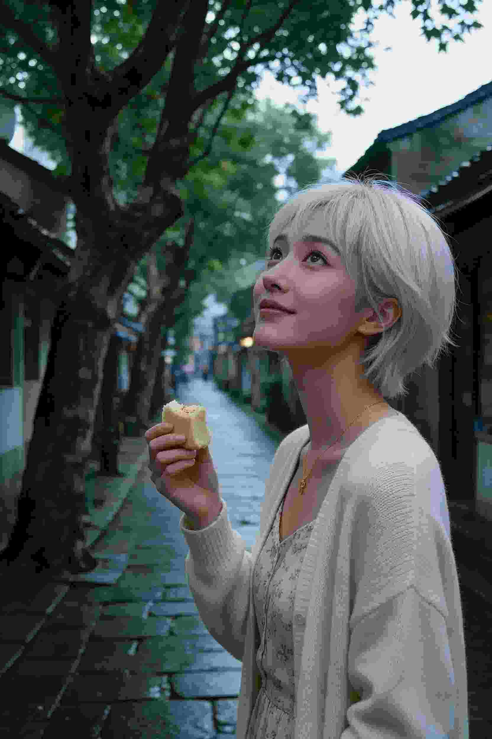 剑来